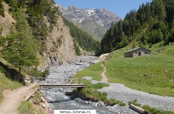 poze din natura nature